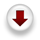 Download Homily